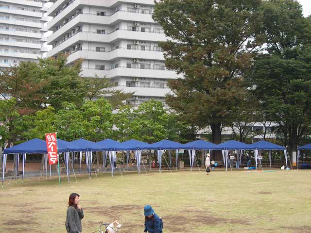 Sx[S}I茠ROԐ